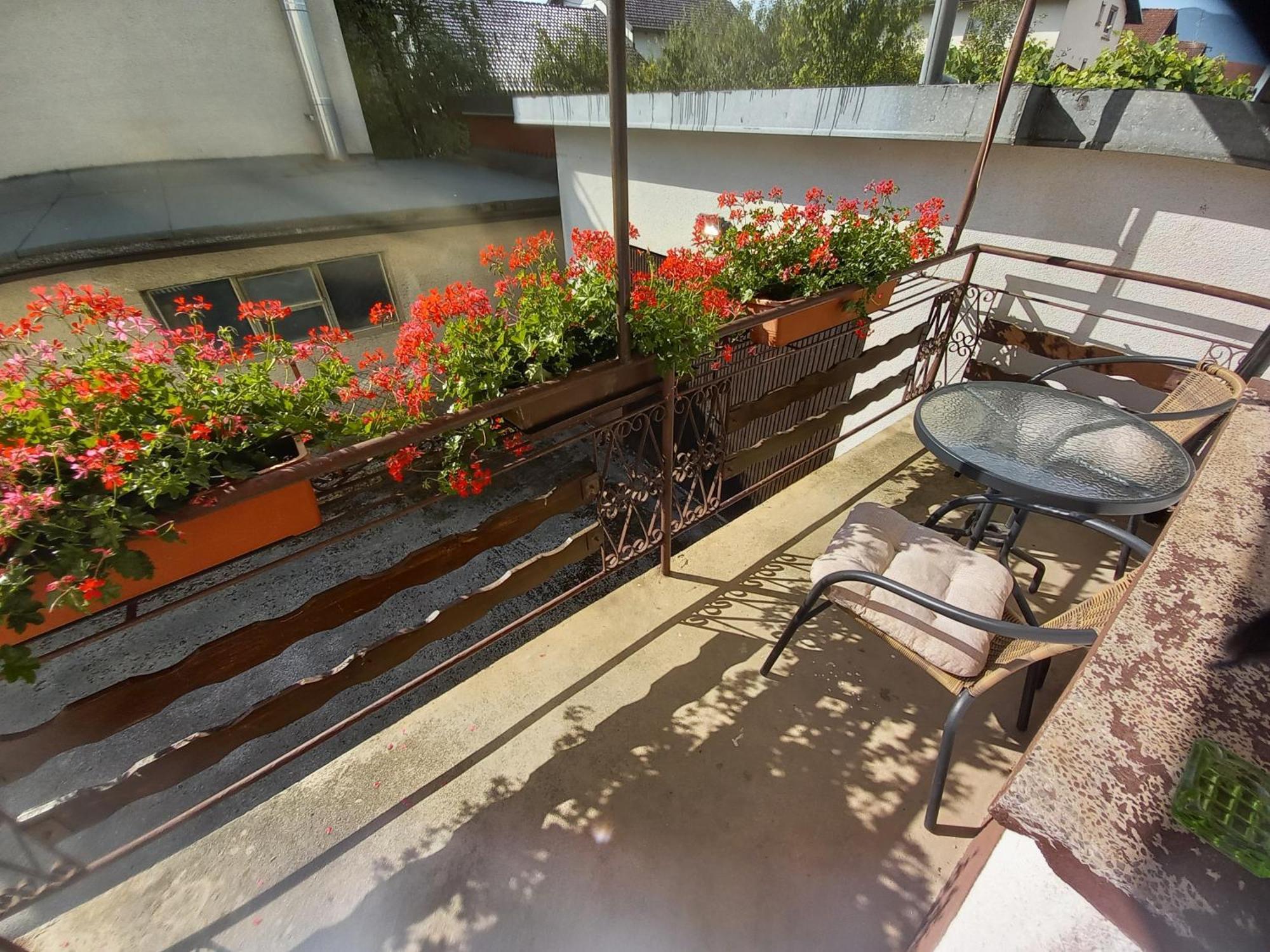 Rooms Apartma Cerknica Eksteriør billede