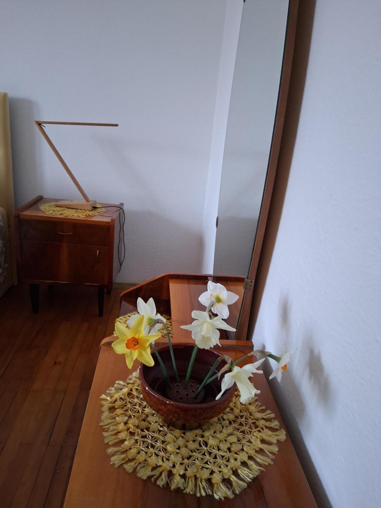 Rooms Apartma Cerknica Eksteriør billede